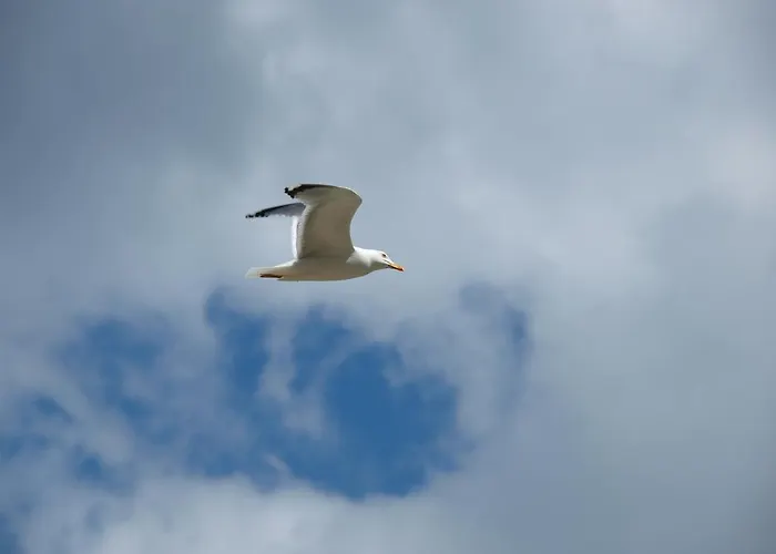Appartement Letica Makarska