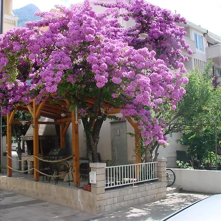 Lägenhet Letica Makarska